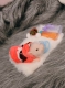 Силиконовая свинка реборн Plushie